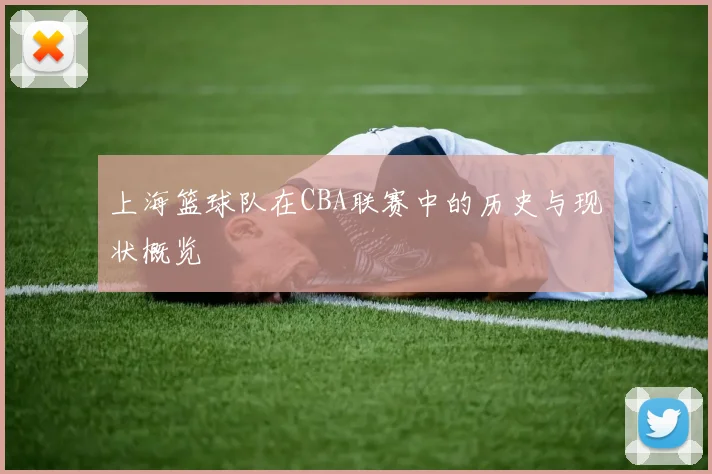 上海篮球队在CBA联赛中的历史与现状概览