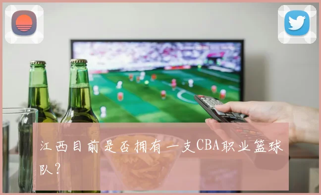 江西目前是否拥有一支CBA职业篮球队？