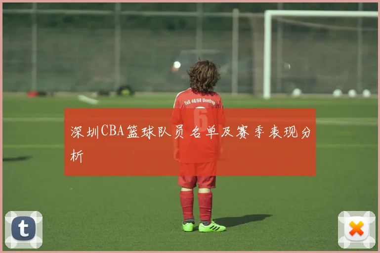 深圳CBA篮球队员名单及赛季表现分析